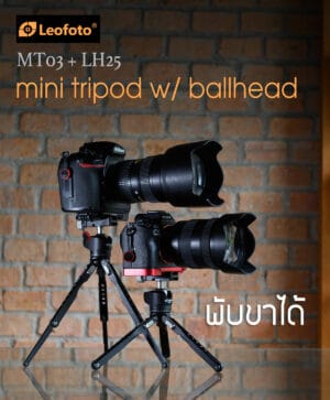 ขาตั้งกล้อง หัวบอล (Tripod & Ballhead)