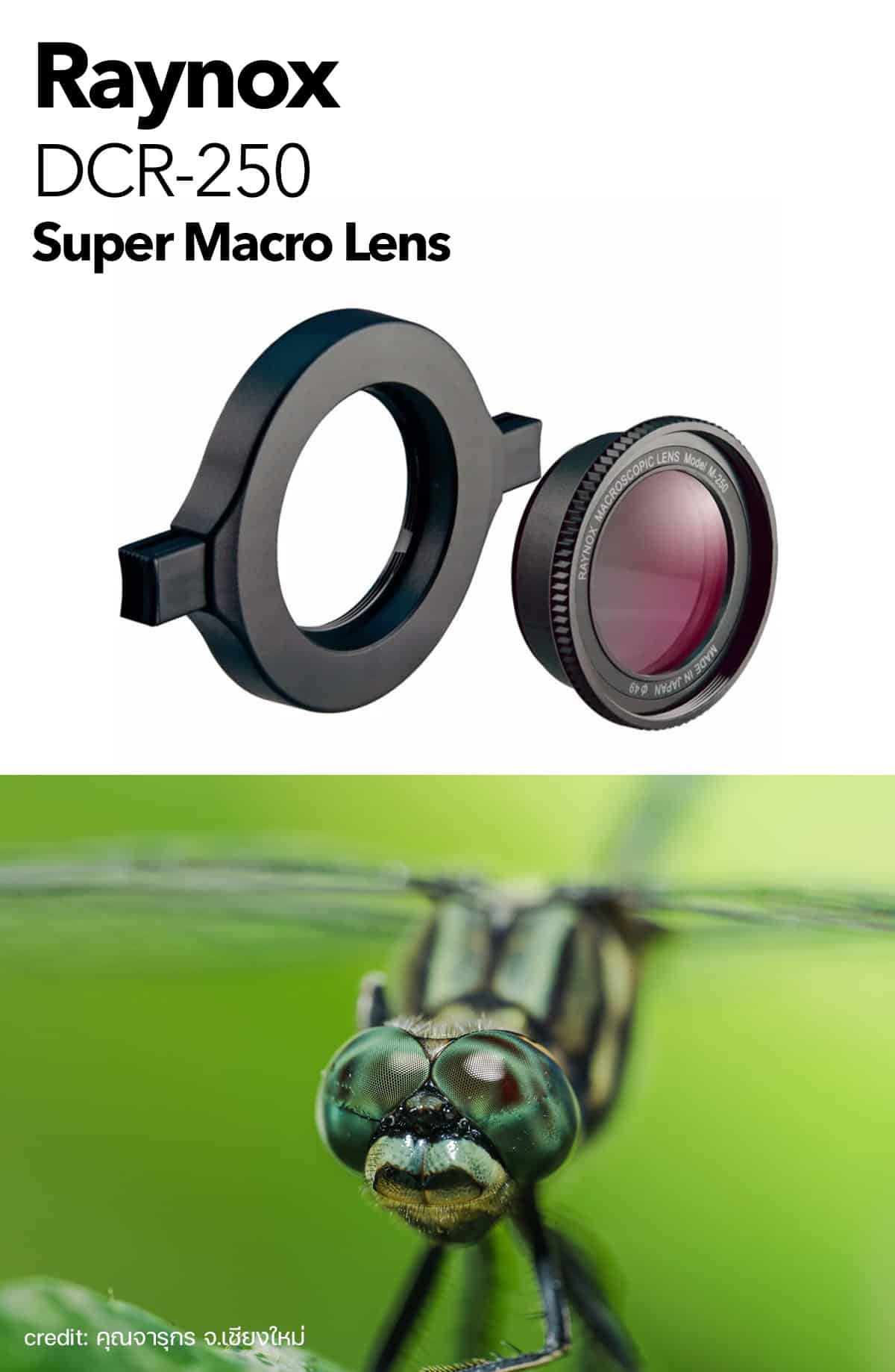 Raynox DCR-250 Super Macro Lens