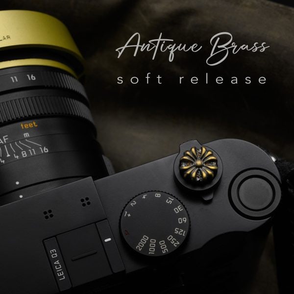 Knight Vintage Brass Soft Release Button