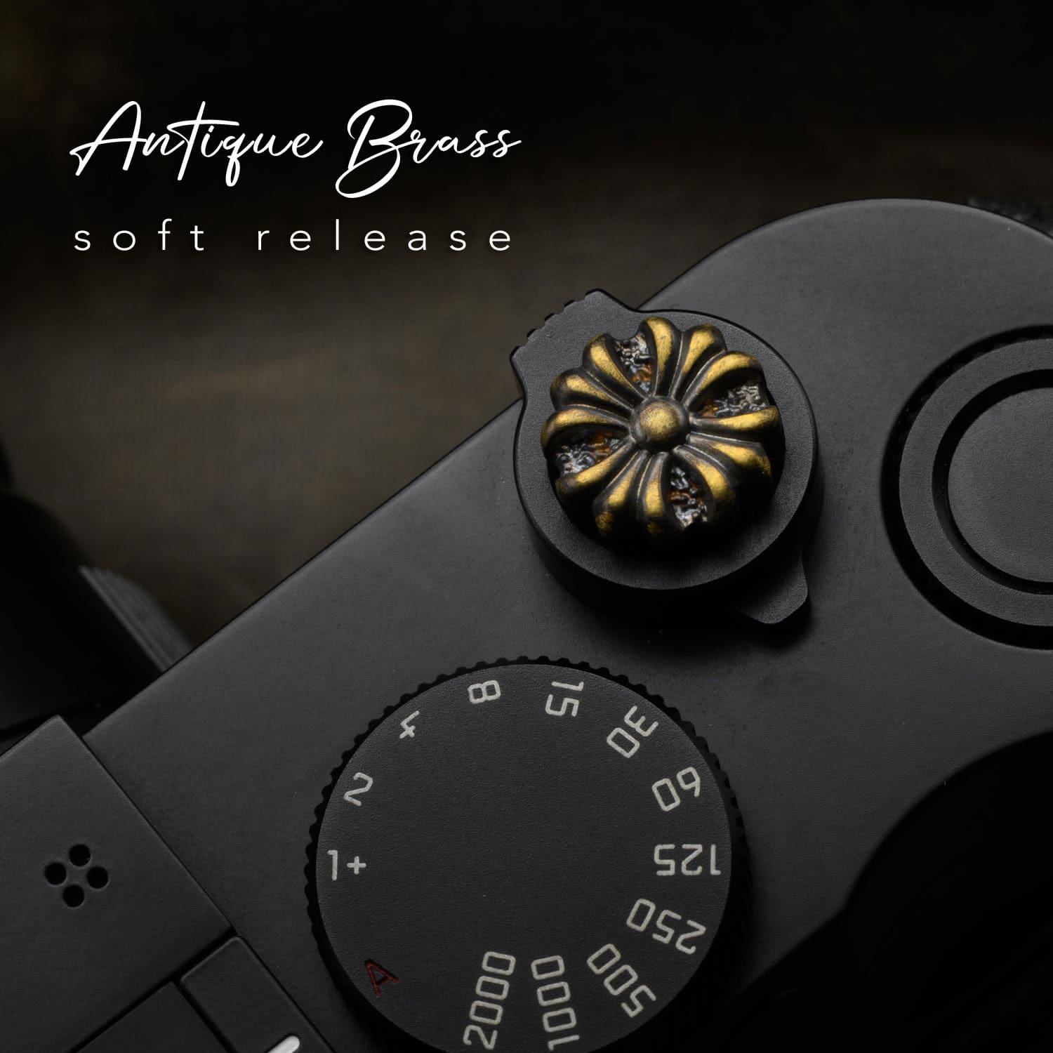 Knight Vintage Brass Soft Release Button