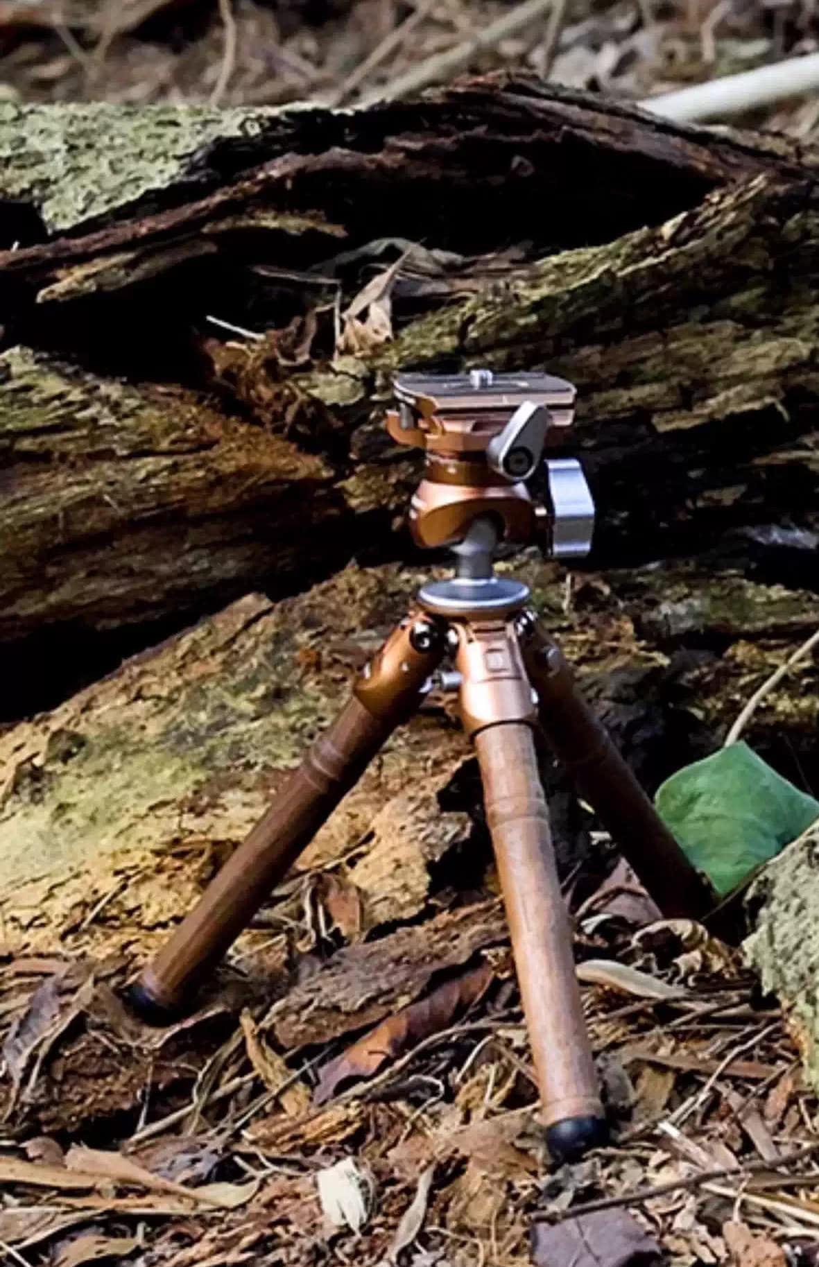 ขาตั้งกล้องแบบพกพา Benro SC05K Wood Edition พร้อมหัวบอล Carbon Fiber Tabletop Tripod